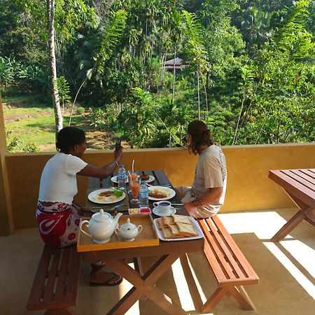Sunshine Forest Lodge - Sinharaja Денияйя Экстерьер фото