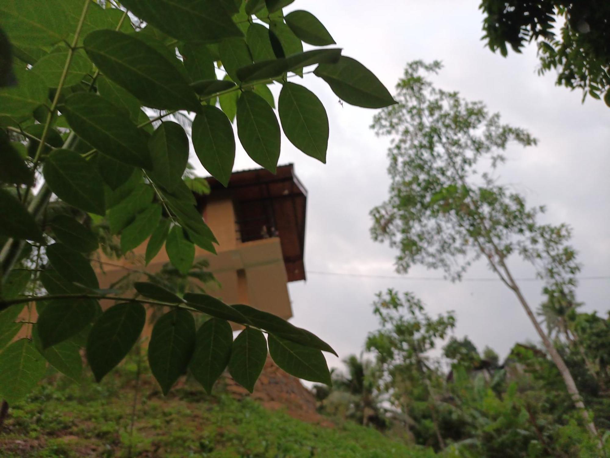 Sunshine Forest Lodge - Sinharaja Денияйя Экстерьер фото
