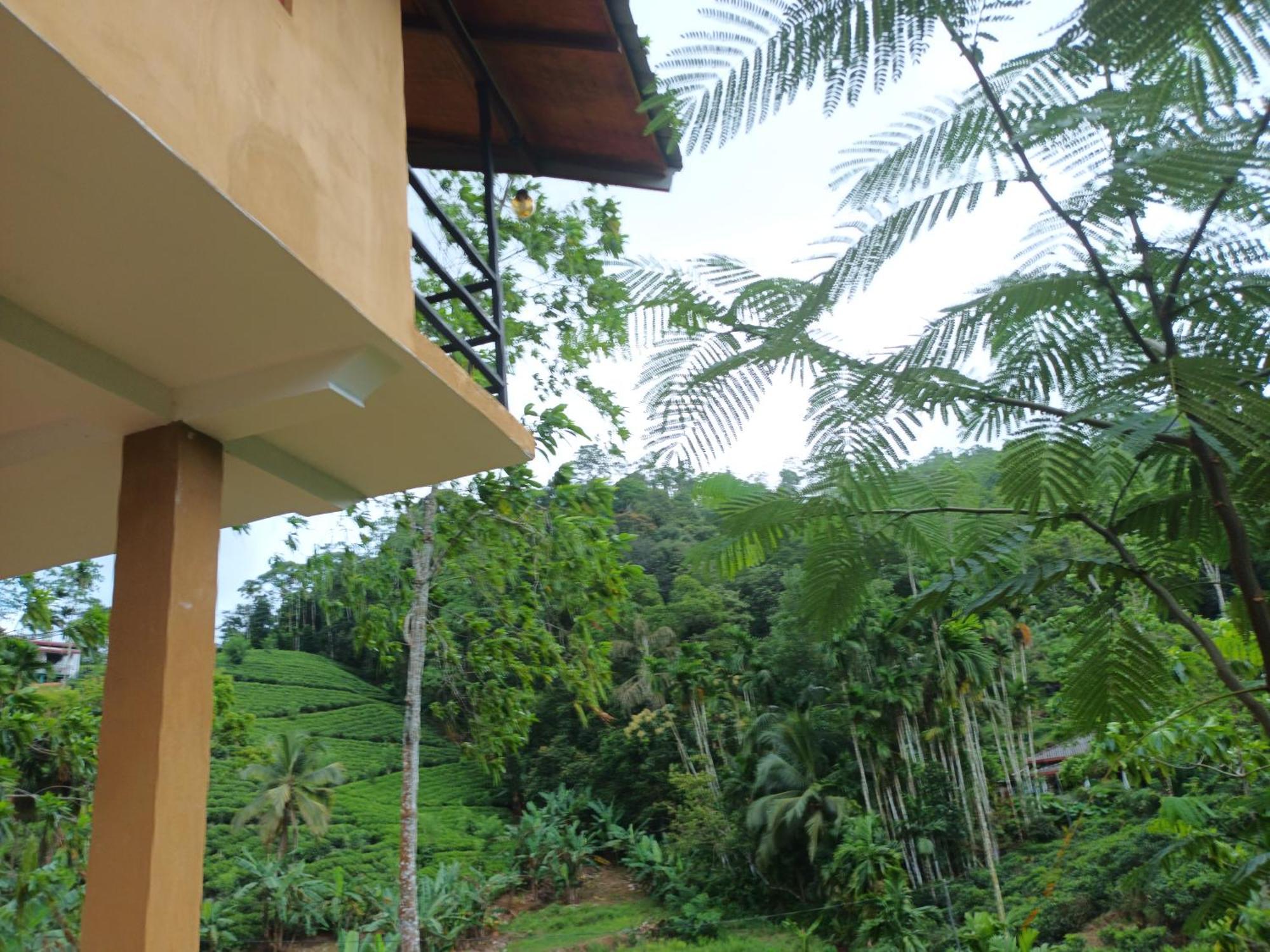 Sunshine Forest Lodge - Sinharaja Денияйя Экстерьер фото