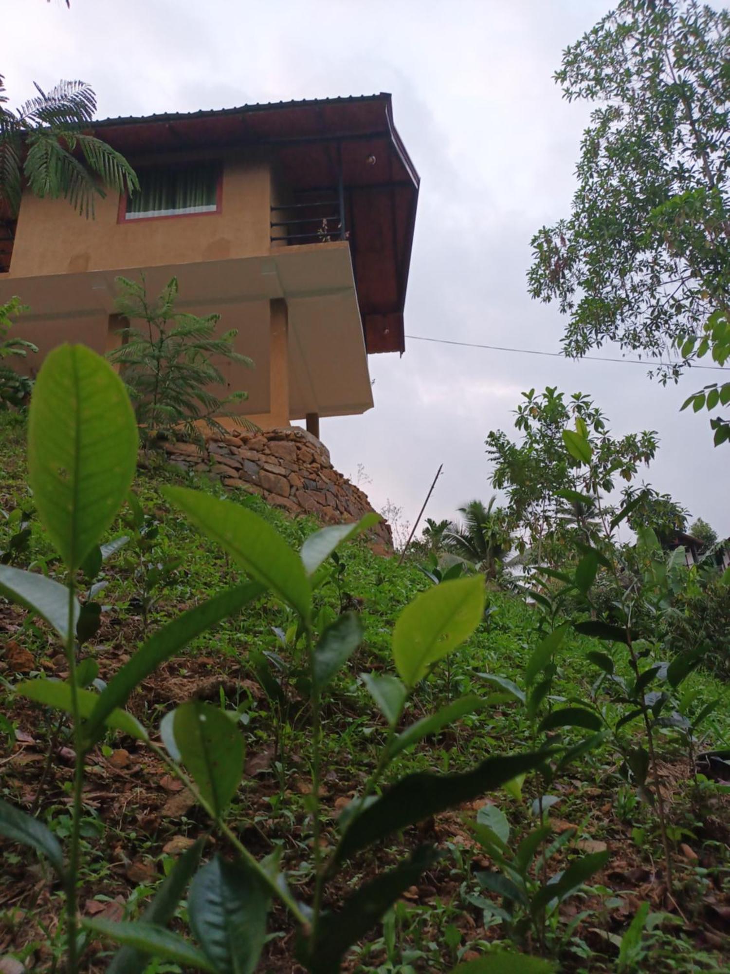 Sunshine Forest Lodge - Sinharaja Денияйя Экстерьер фото