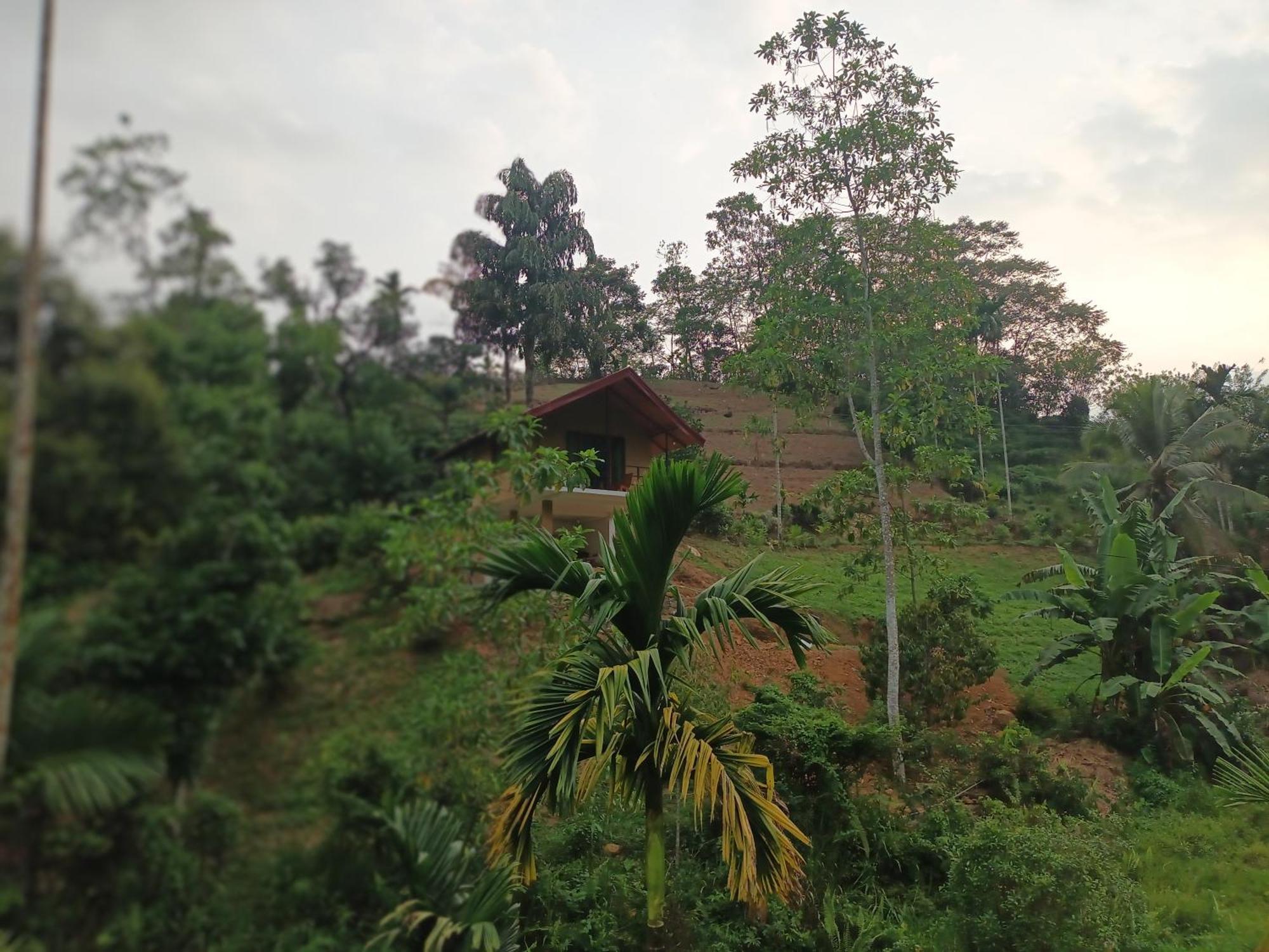 Sunshine Forest Lodge - Sinharaja Денияйя Экстерьер фото