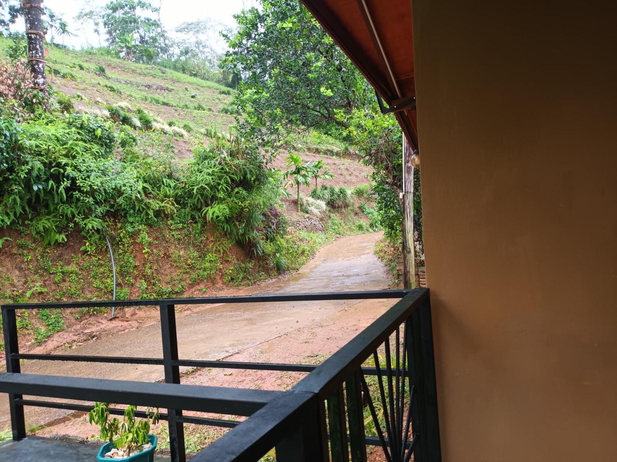 Sunshine Forest Lodge - Sinharaja Денияйя Экстерьер фото