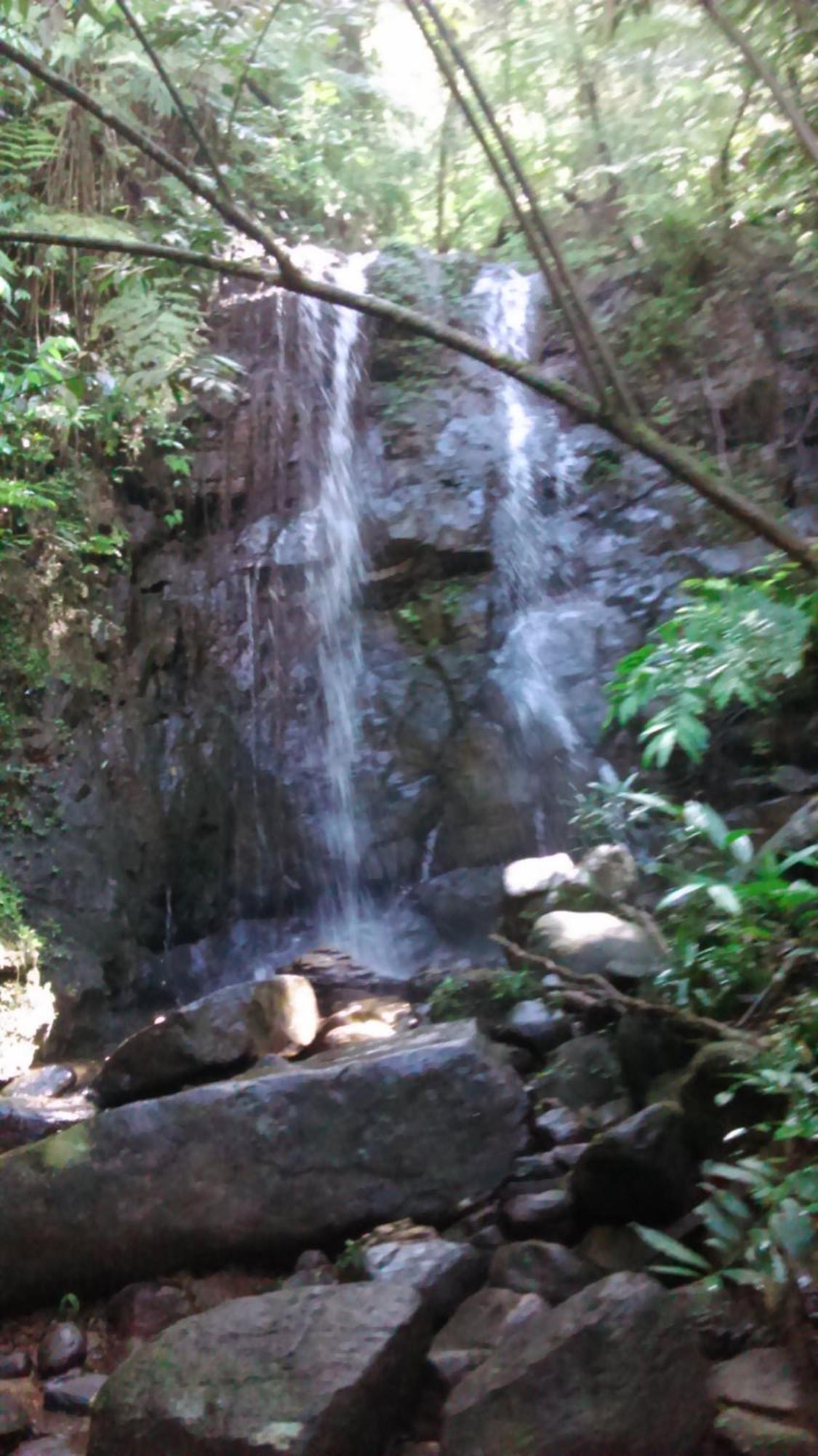 Sunshine Forest Lodge - Sinharaja Денияйя Экстерьер фото