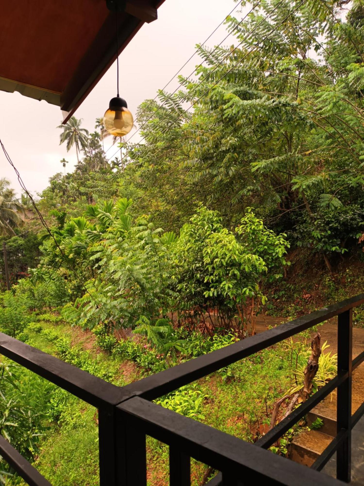 Sunshine Forest Lodge - Sinharaja Денияйя Экстерьер фото