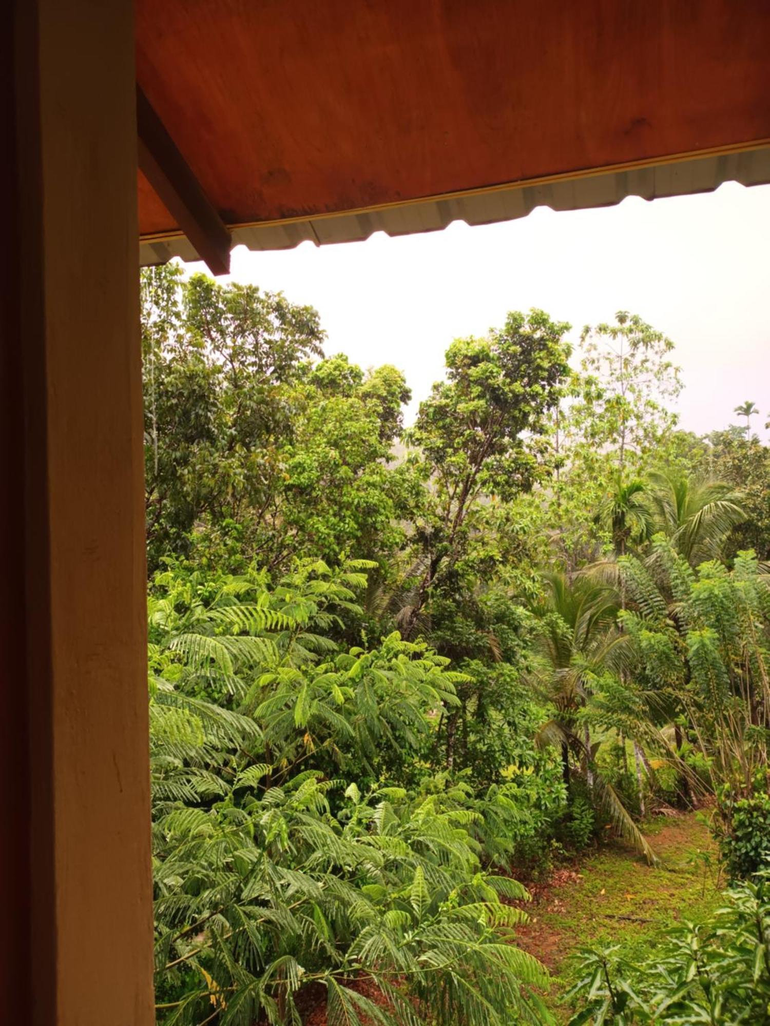 Sunshine Forest Lodge - Sinharaja Денияйя Экстерьер фото