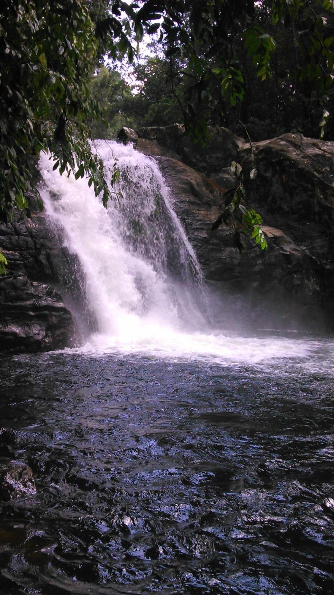 Sunshine Forest Lodge - Sinharaja Денияйя Экстерьер фото
